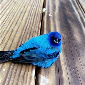 Meet your Posher, Margaret